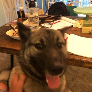 Meet your Posher, Zach